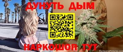 крисы Майкоп