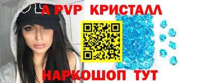 Альфа ПВП Магадан
