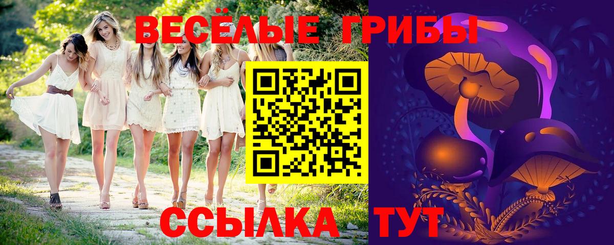 Ахтубинск  Псилоцибиновые грибы мухоморы  Вход с VPN  Галлюциногенные грибы Psilocybe 